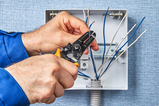 Best Surge Protection Installation  in Tiptonville, TN